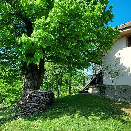 Hiska Tilia Apartment Loce pri Poljcanah Exterior photo