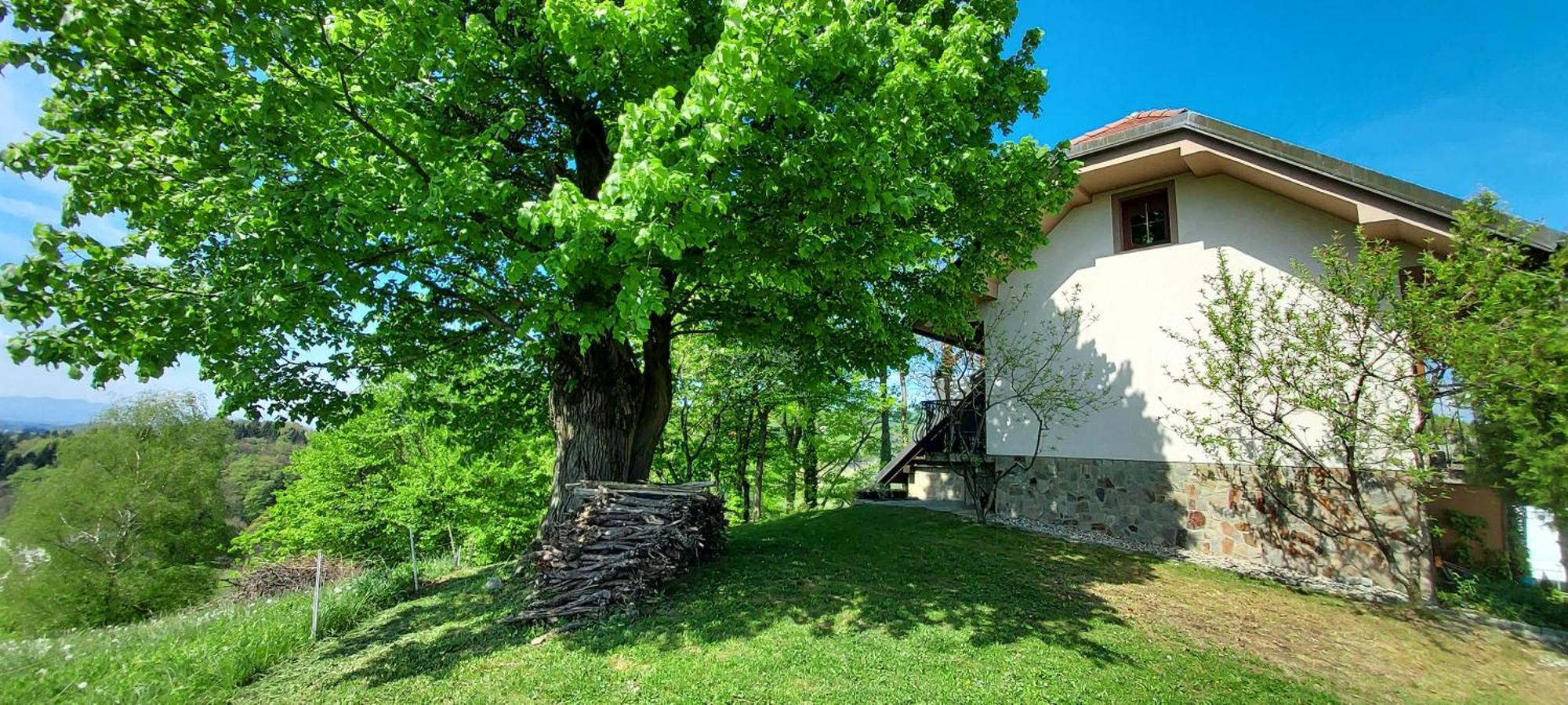 Hiska Tilia Apartment